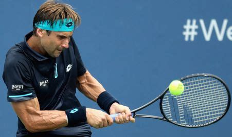 Adrian Mannarino v David Ferrer 